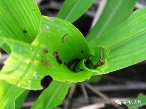 ���הQ����ô�k����ץ�o��Q��(hu��)Ӱ푮a(ch��n)��!!!