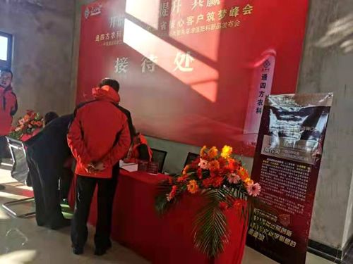 ����_������|����ʡ����